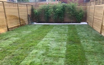 My grass is looking dry, when should I water it?